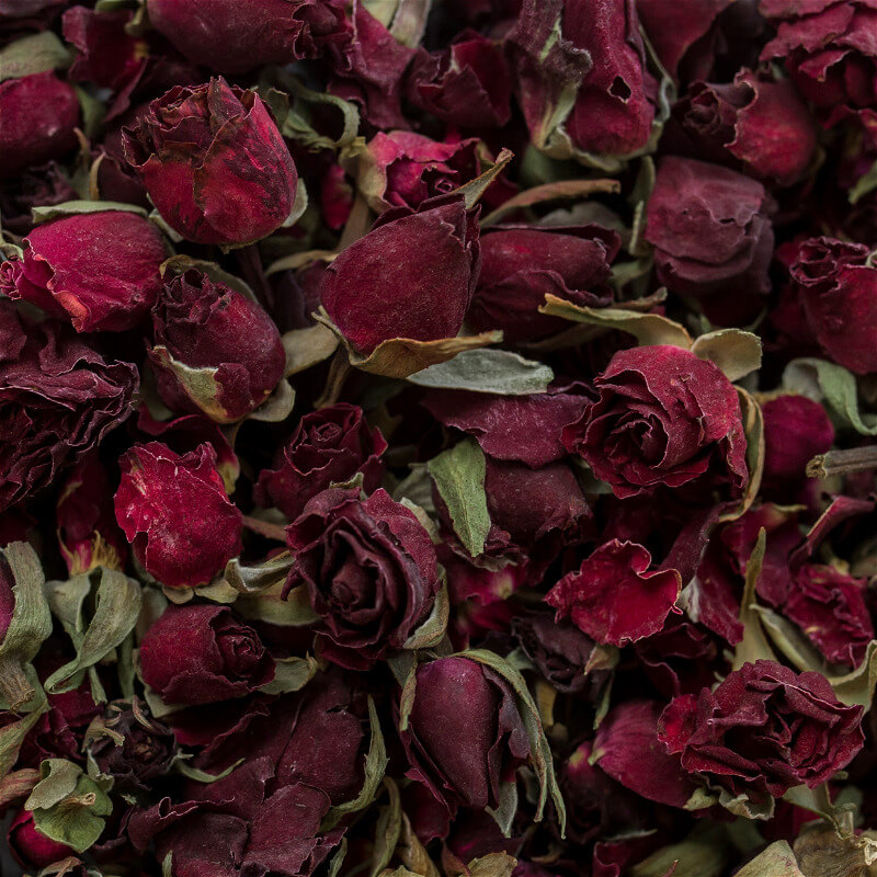 Persian Red Rose